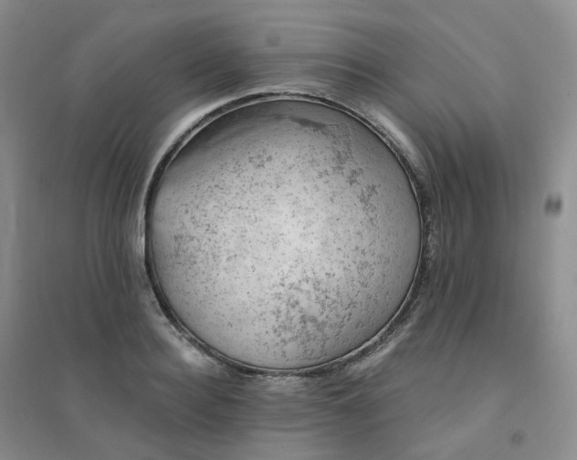 X0000094460940200711151446