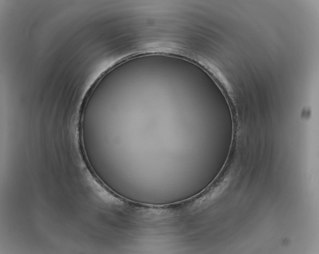 X0000094460941200711151446