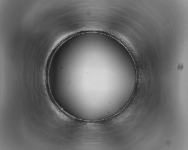 X0000094460942200711151446