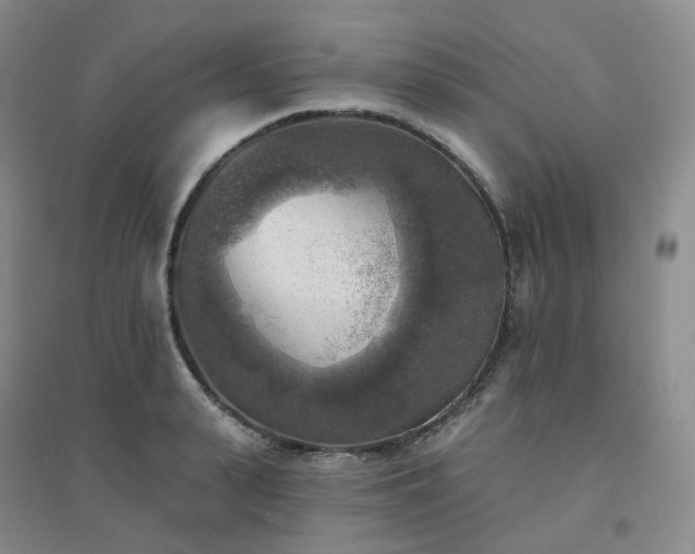 X0000094460943200711151446