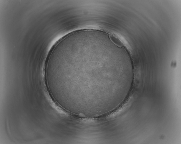 X0000094460944200711151446