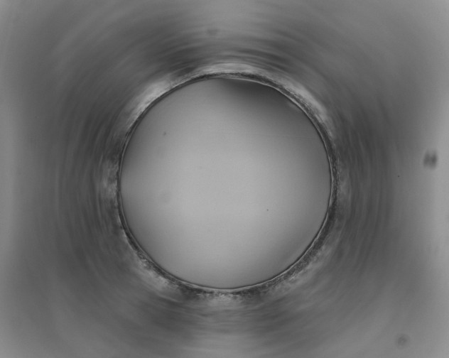 X0000094460945200711151446