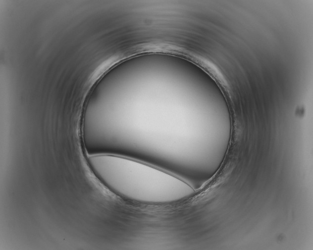 X0000094460946200711151446