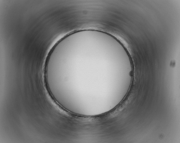 X0000094460949200711151447