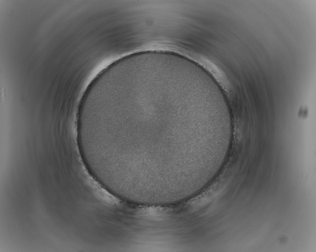 X0000094460950200711151447