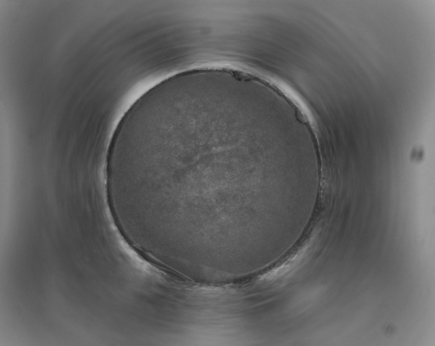 X0000094460951200711151447