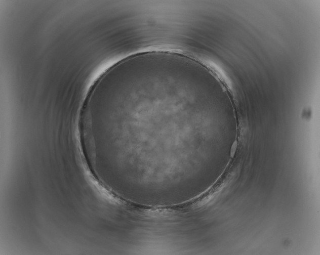 X0000094460952200711151447