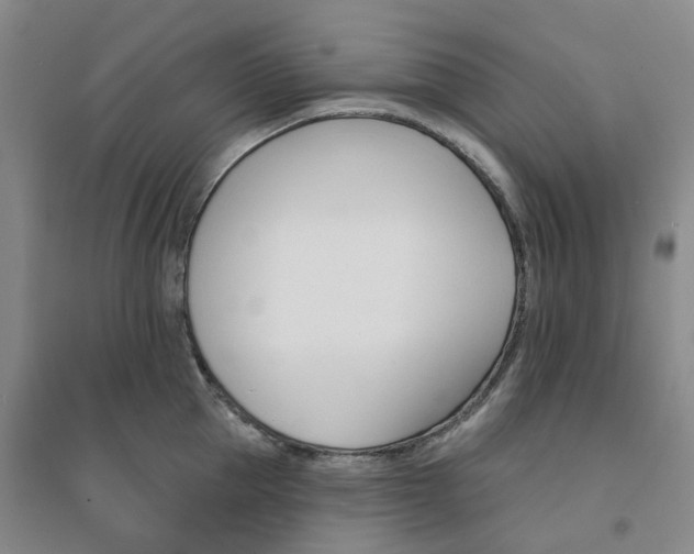 X0000094460953200711151447