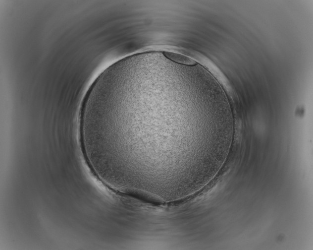 X0000094460955200711151447