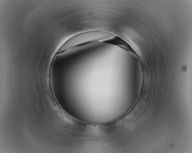 X0000094460956200711151447