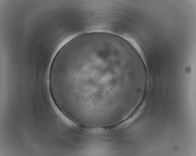 X0000094460957200711151447