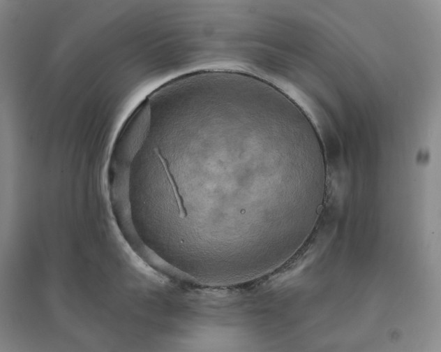 X0000094460959200711151447