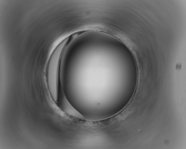 X0000094460960200711151447