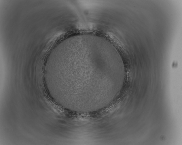 X0000094460961200711151446