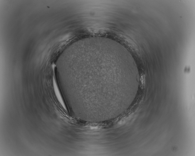 X0000094460963200711151446