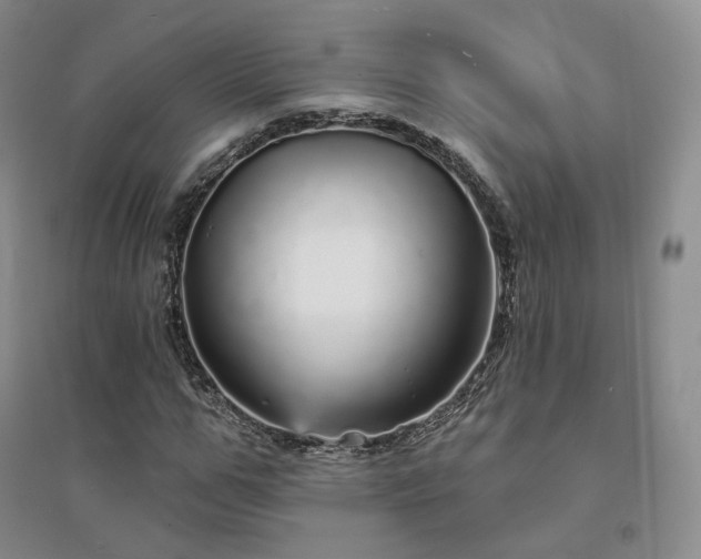 X0000094460967200711151446