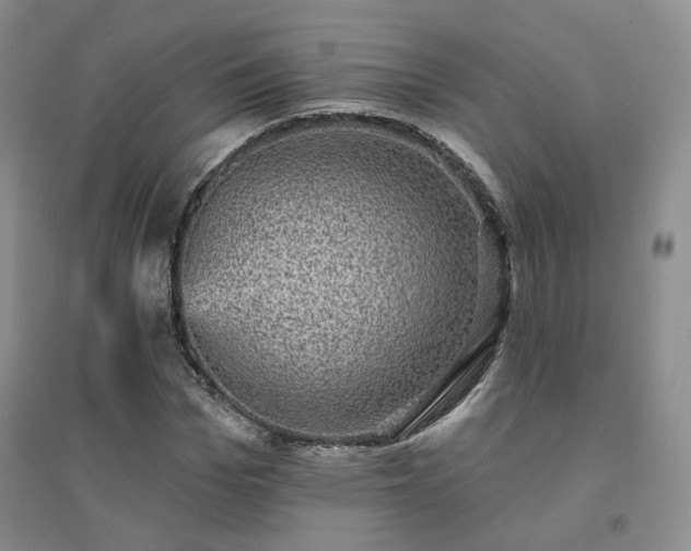 X0000094460969200711151446