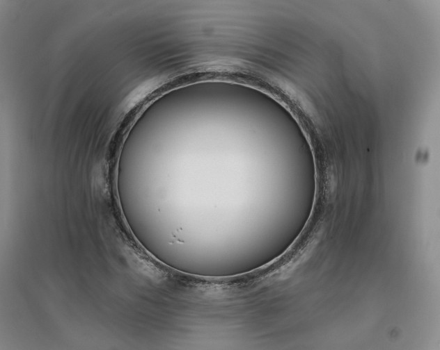 X0000094460970200711151446