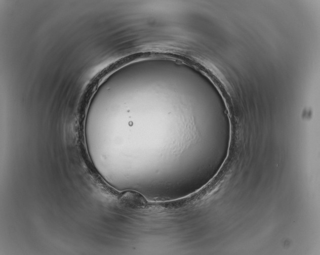 X0000094460971200711151446