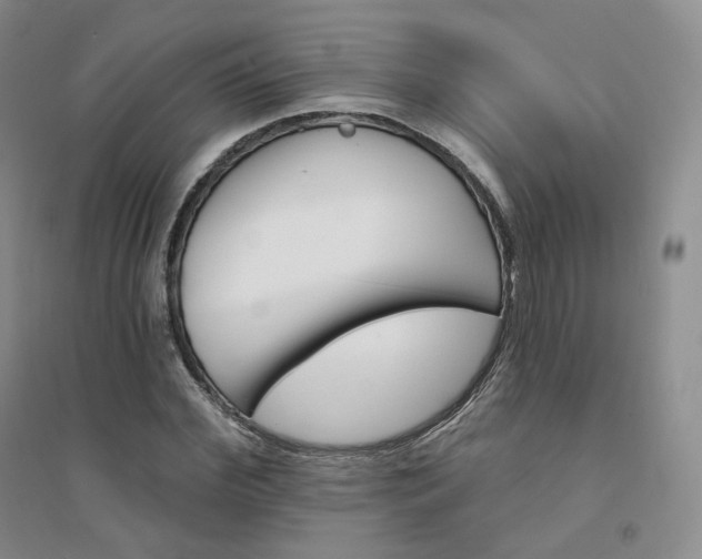 X0000094460972200711151446
