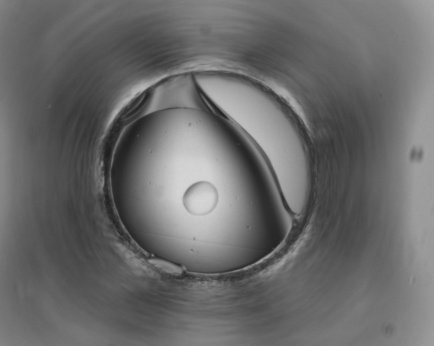 X0000094460973200711151446
