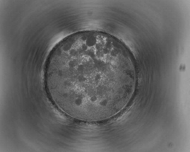 X0000094460975200711151446