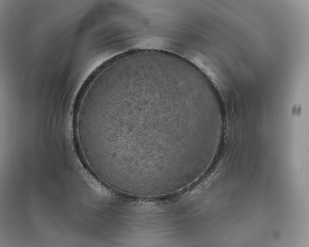 X0000094460976200711151446