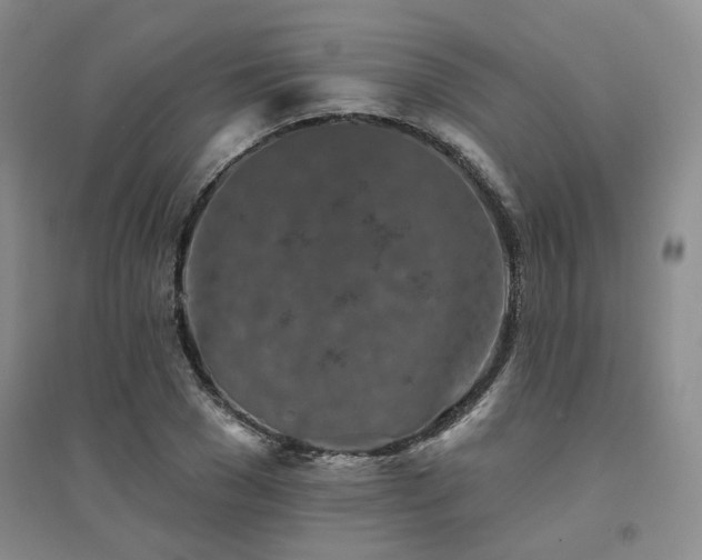 X0000094460977200711151446