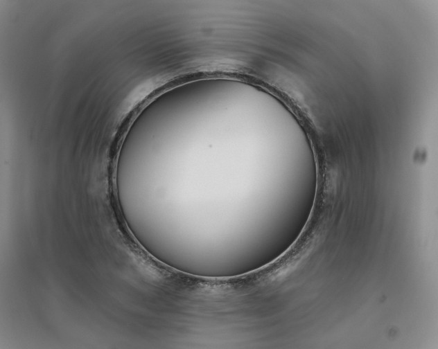 X0000094460978200711151446