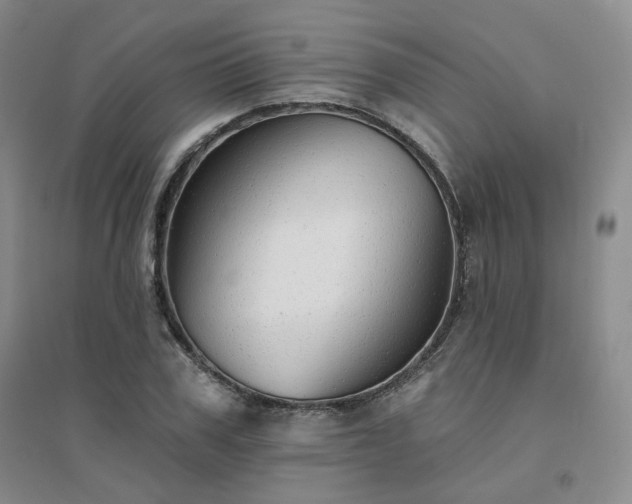 X0000094460979200711151446