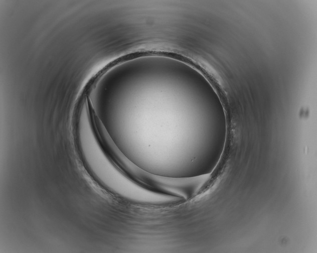 X0000094460981200711151446