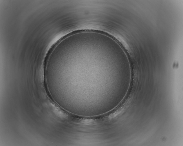 X0000094460982200711151446
