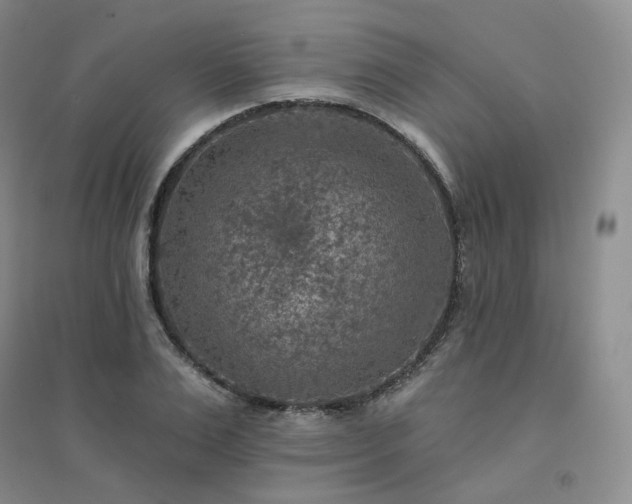 X0000094460983200711151446