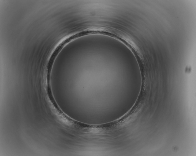 X0000094460984200711151446