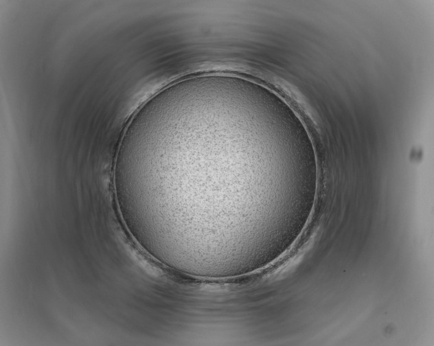 X0000094460985200711151446