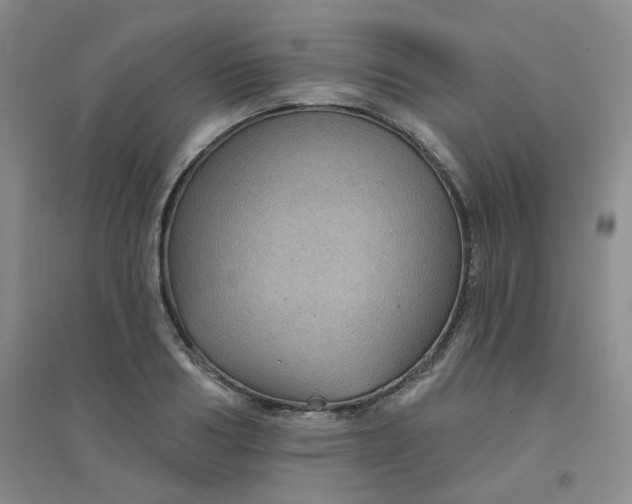 X0000094460986200711151446