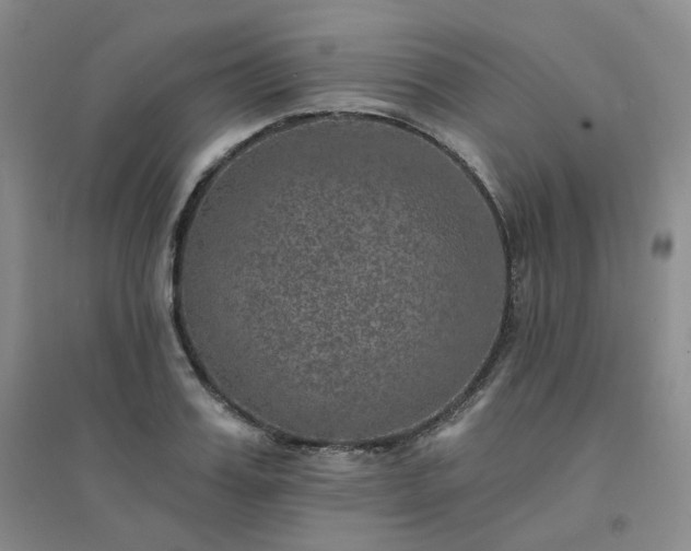 X0000094460987200711151446