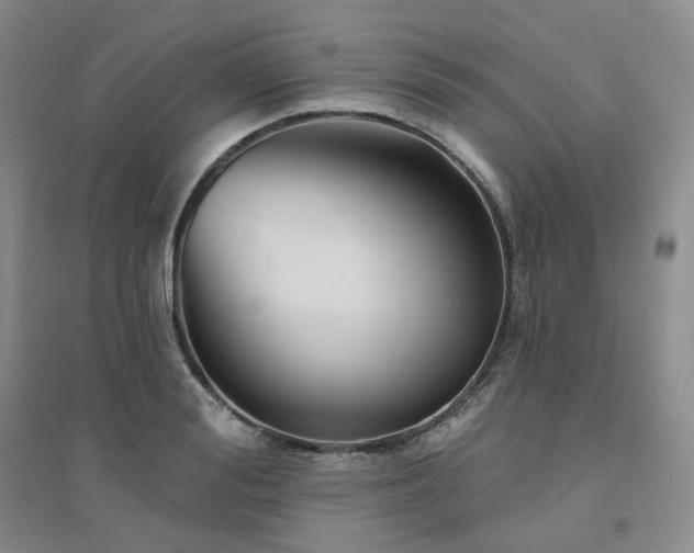 X0000094460988200711151446