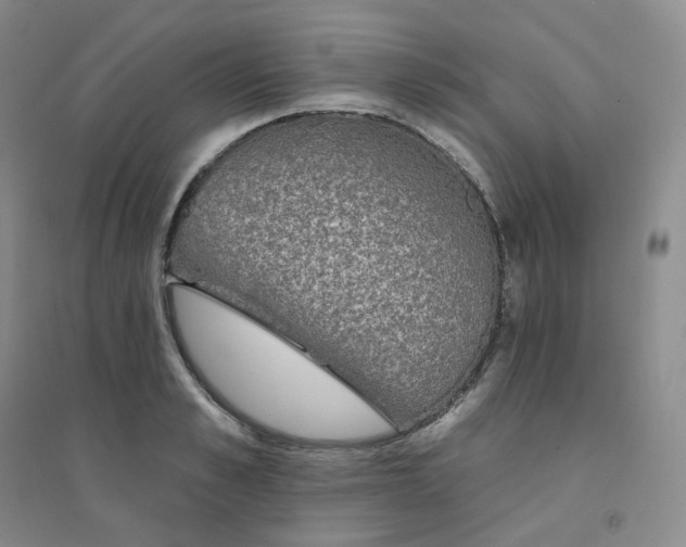 X0000094460989200711151446