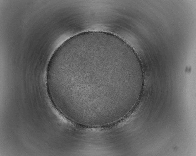 X0000094460990200711151446