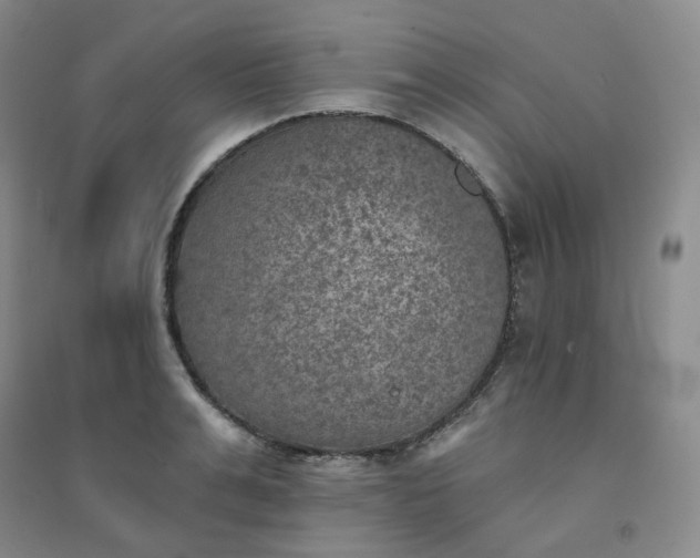 X0000094460991200711151446