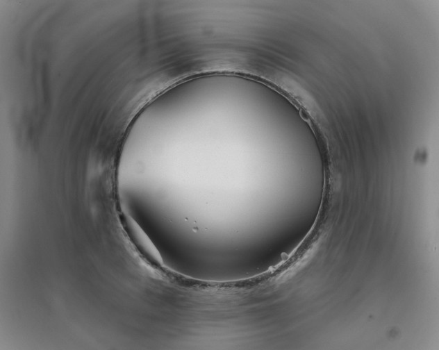 X0000094460993200711151446