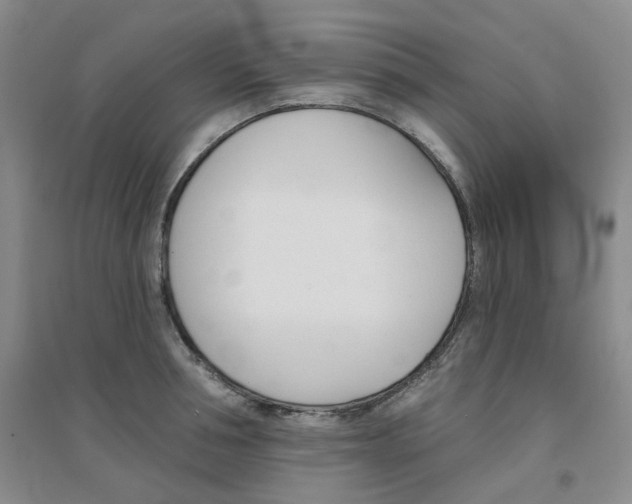 X0000094460994200711151446