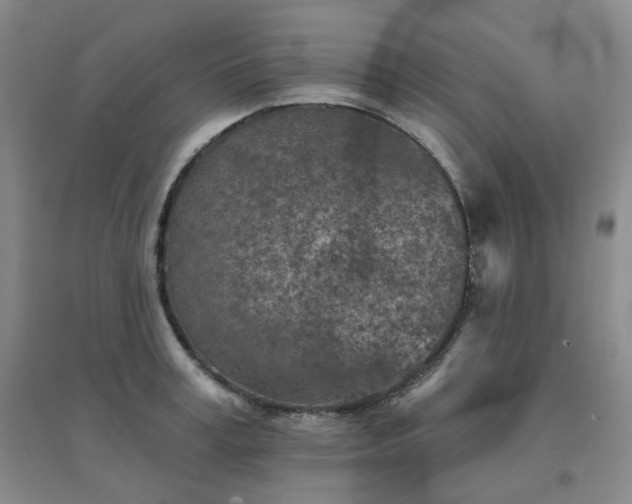 X0000094460995200711151446