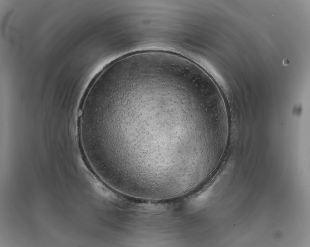 X0000094460996200711151446