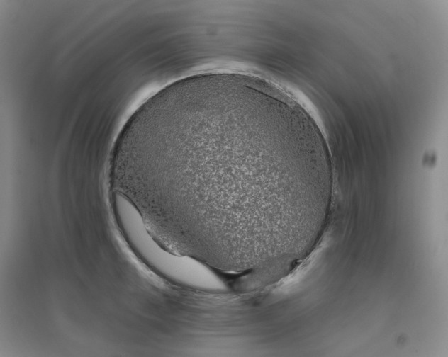 X0000094460997200711151446