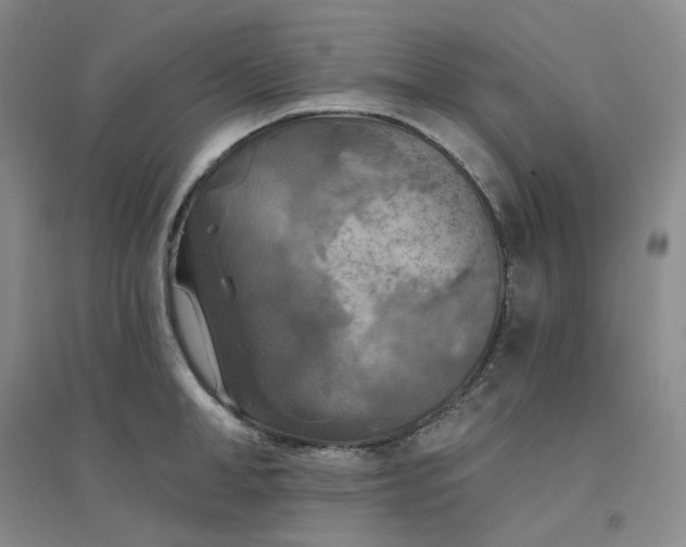 X0000094460998200711151445