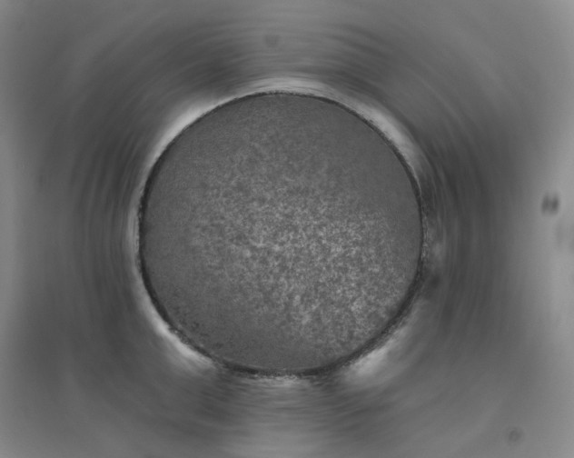 X0000094460999200711151445