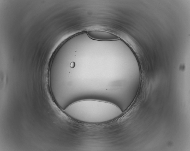 X0000094461000200711151445