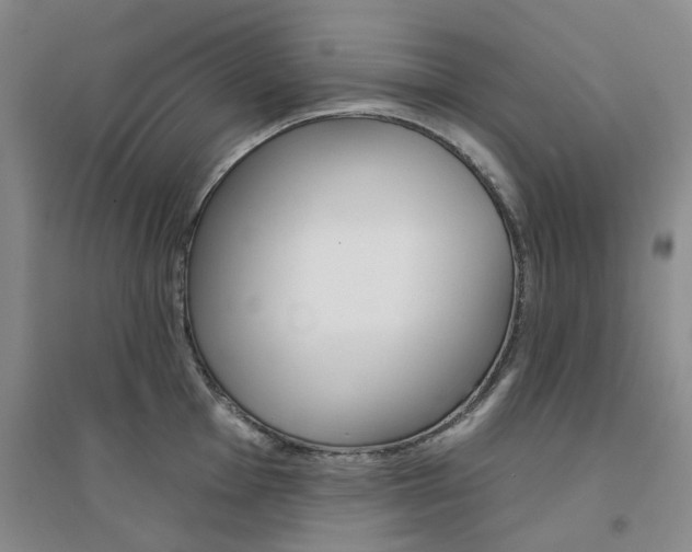 X0000094461001200711151445